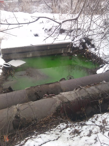 Барнаульская речка Пивоварка стала зеленой