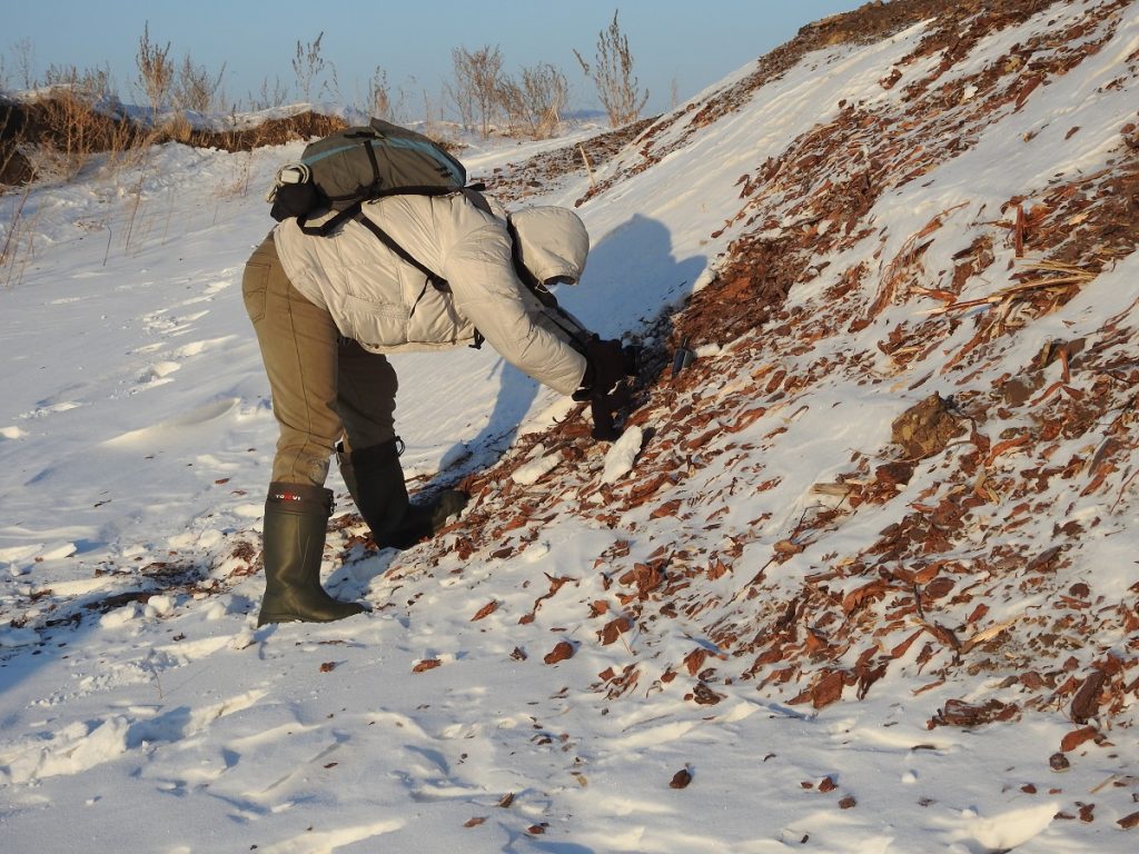 Свалка в АК (2)